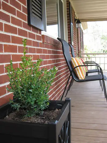 buxus-zwart-vierkante-planter-diy-project