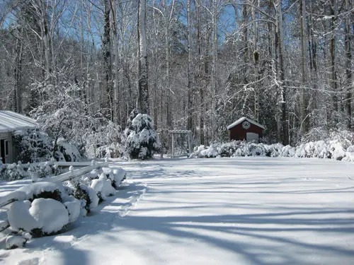 hermosa-imagen-de-nieve-patio trasero