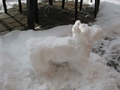 perro-de-nieve-chiahuahua-muñeco de nieve