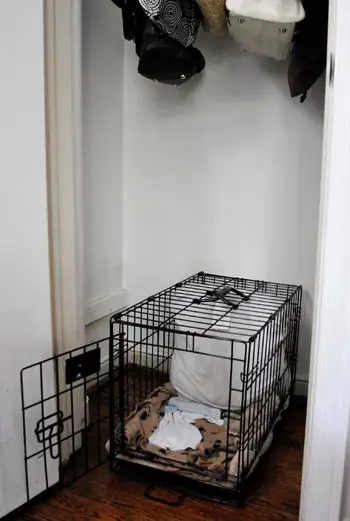 Closet Before Only Crate