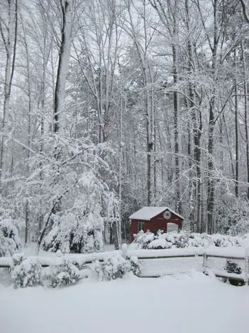 Giorno di neve