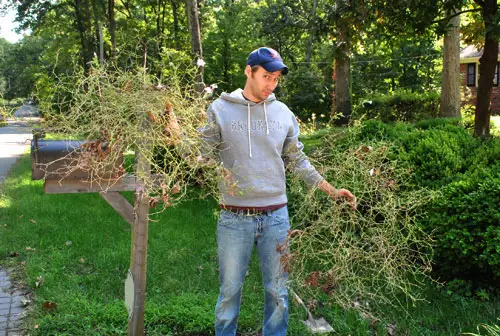 MailMums John With Plants2