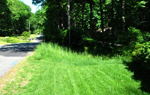 Postafiók Naturalized Cut