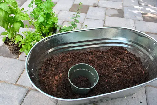 Vaso alla menta alle erbe