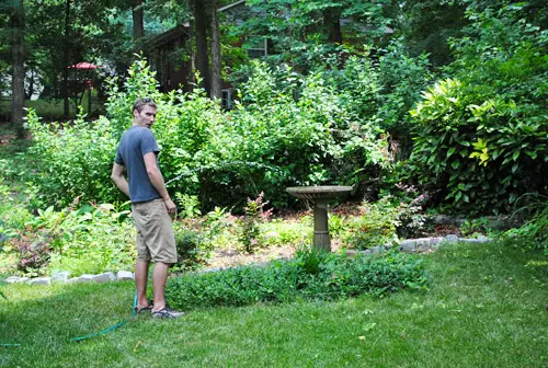 Kuisti John Filling Birdbath