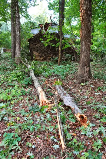 Irene Big Branch in onze tuin