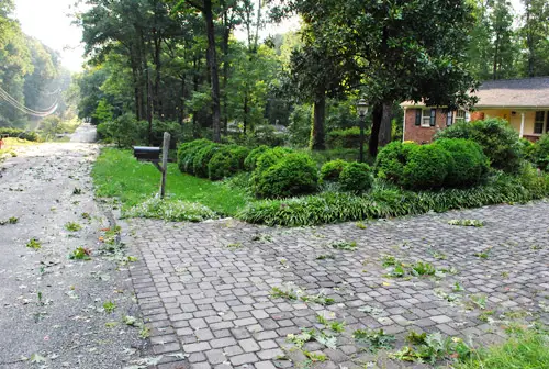 Detriti del cortile anteriore di Irene