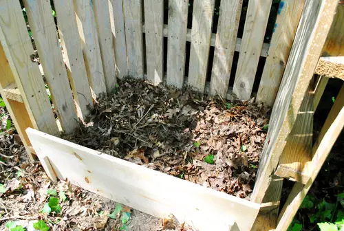 Foglie di compost iniziale