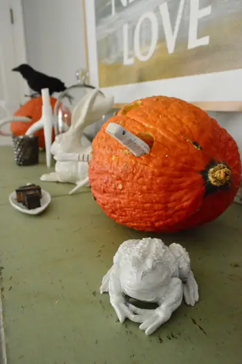 Calabaza11