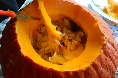 Calabaza2