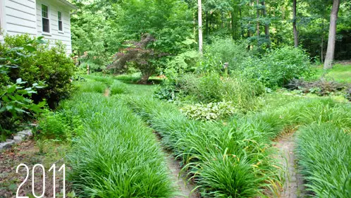 Plecy na świeżym powietrzu 2011