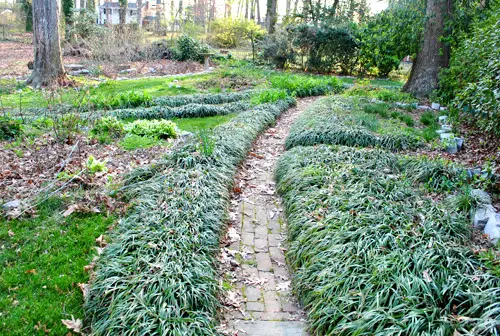 À l'extérieur de l'herbe des singes, fou