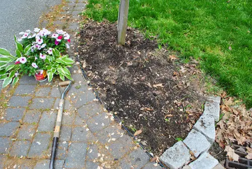 Caixa de correio 6 pronta para plantar