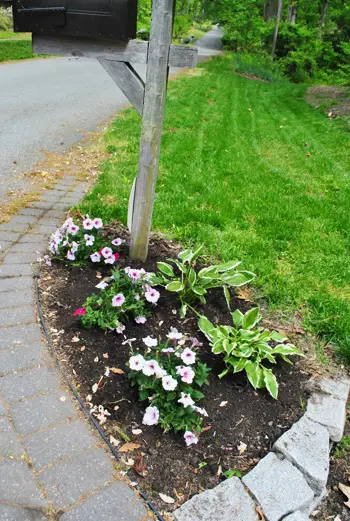 Boîte aux lettres 7 plantée