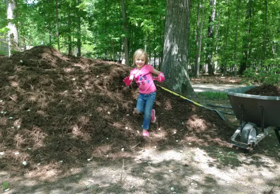 Bambina con guanti da giardino che giocano nel grande letto di pacciame accanto alla carriola