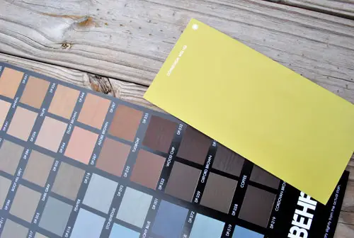 Emily Stain Paint Swatch