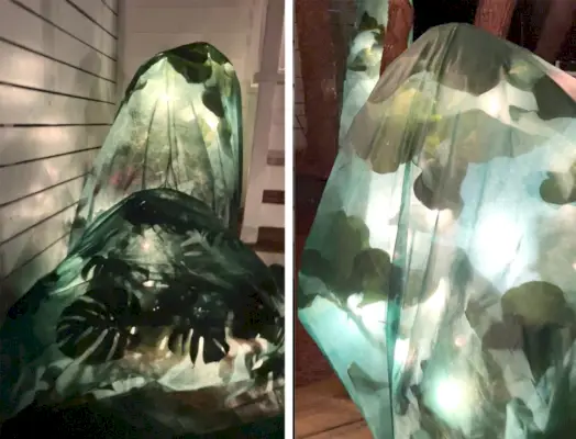 Mantas de escarcha sobre higueras con luces navideñas