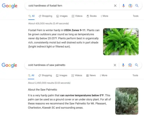 Page de résultats de recherche Google sur la résistance au froid des plantes tropicales