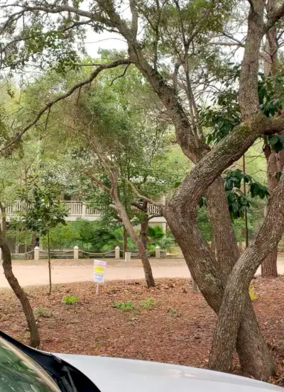 לפני תמונה של אזור בורות אש לפני הוספת הגדר