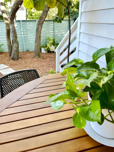 Détail de la table en bois et de la plante pothos en pot