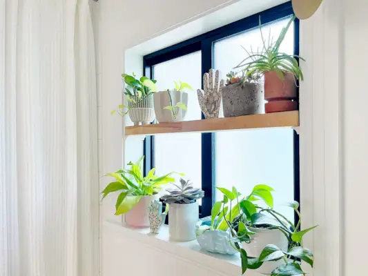 Étagère de fenêtre DIY avec plantes en pots dans la salle de bain