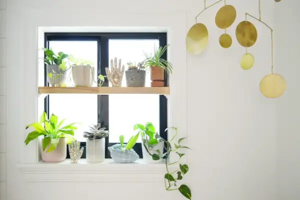 Prateleira de planta de janela com móbile dourado no banheiro