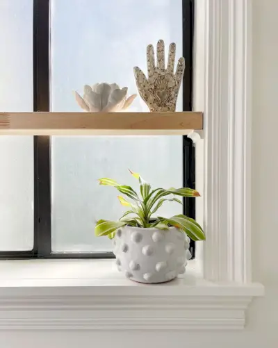 Étagère flottante en bois dans une salle de bains blanche simple avec des plantes