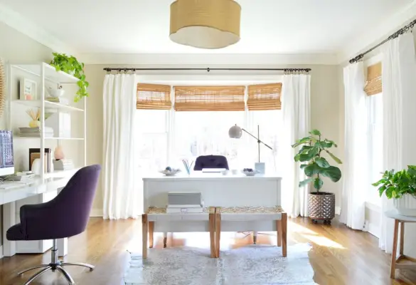 Bureau à domicile avec grand figuier à feuilles de violon dans le coin