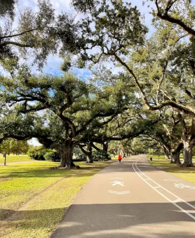 Utwardzona ścieżka rowerowa w Audubon Park w Nowym Orleanie