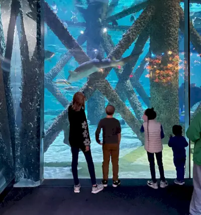 Bambini alla vasca degli squali dell'acquario di New Orleans