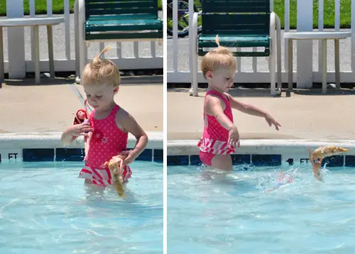 Beach Pool Throwing Barbies 2