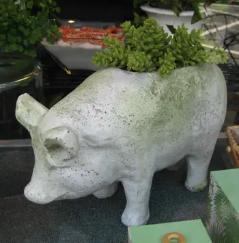 Beach Pig Planter