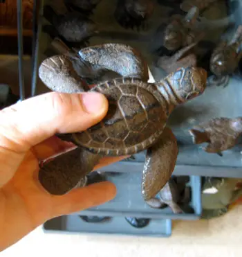 Strandschildkröte