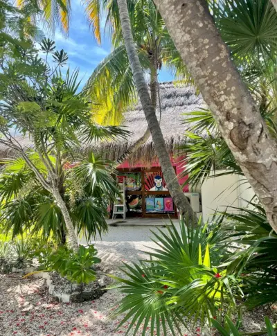 Compras en Akumal México con muchas palmeras