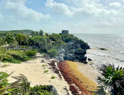 Plaja Ruinelor Maya din Tulum cu alge sargassum acumulate