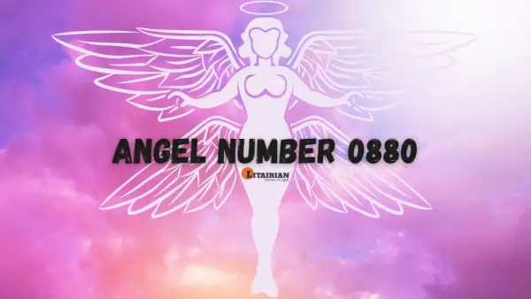 Significado y significado del número de ángel 0880