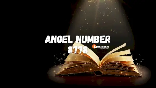 Significado y significado del número de ángel 8778