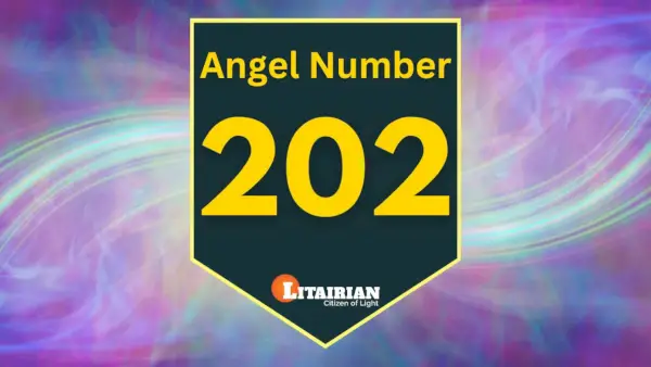 Significado e importância do anjo número 202