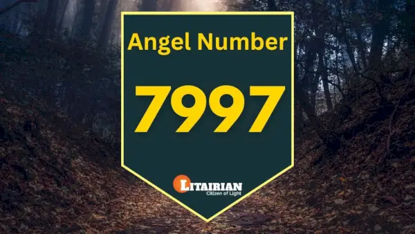 Significado y significado del número de ángel 7997