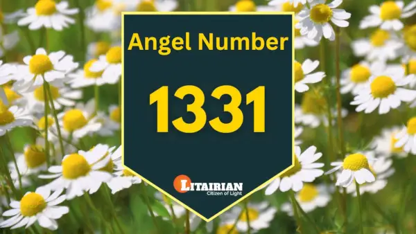 Angelo numerio 1331 prasmė ir reikšmė