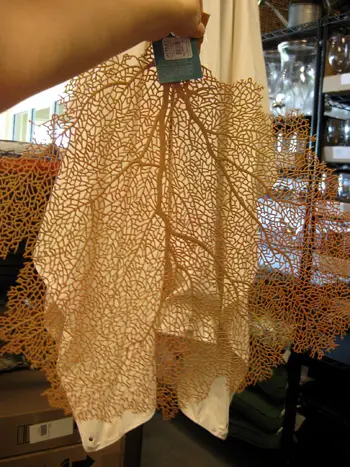 Faux Sea Fan